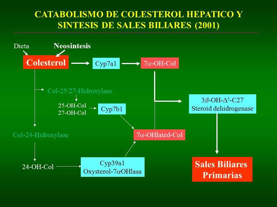 CATABOLISMO DE COLESTEROL HEPATICO Y SINTESIS DE SALES BILIARES (2001)