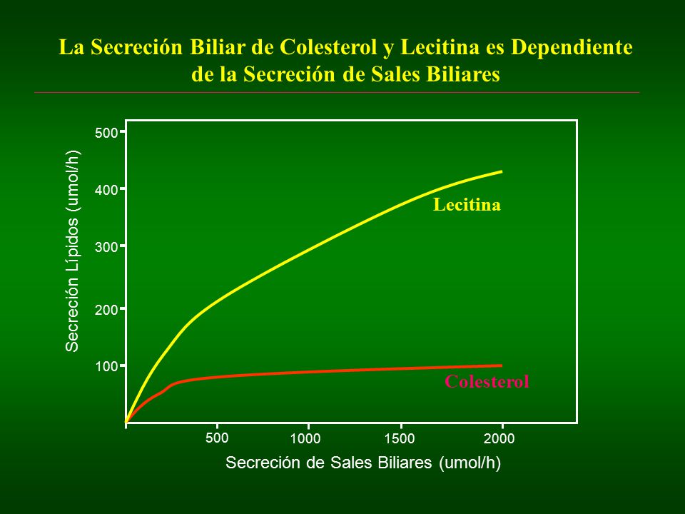 La Secreción Biliar de Colesterol y Lecitina es Dependiente de la Secreción de Sales Biliares