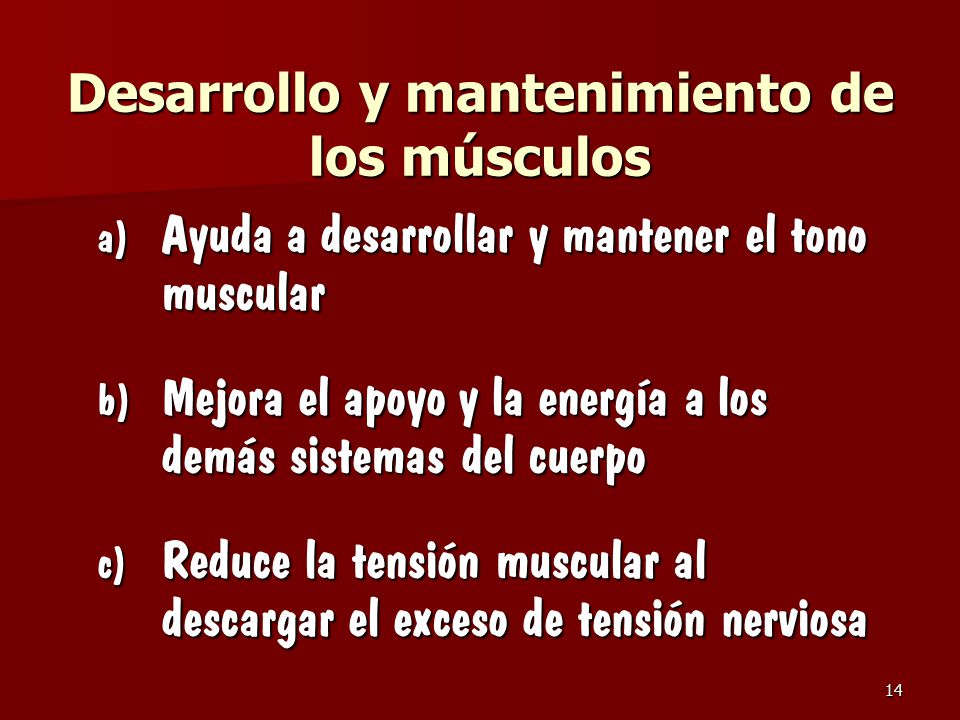 Desarrollo y mantenimiento de los músculos