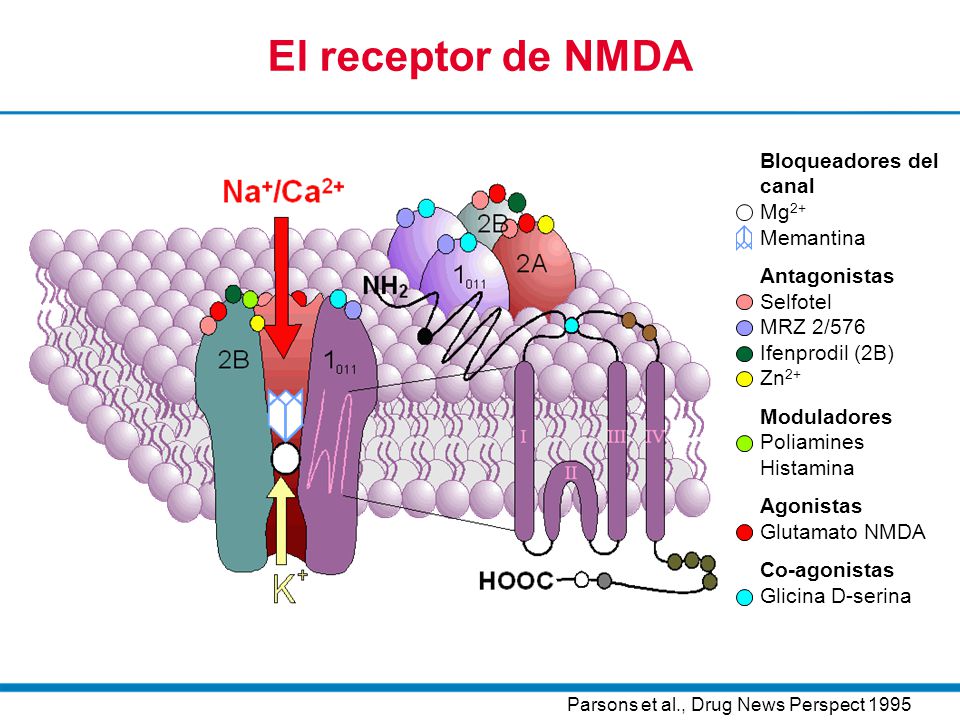 El receptor de NMDA Bloqueadores del canal Mg2+ Memantina