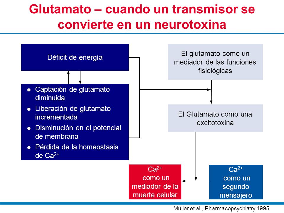 Glutamato – cuando un transmisor se convierte en un neurotoxina