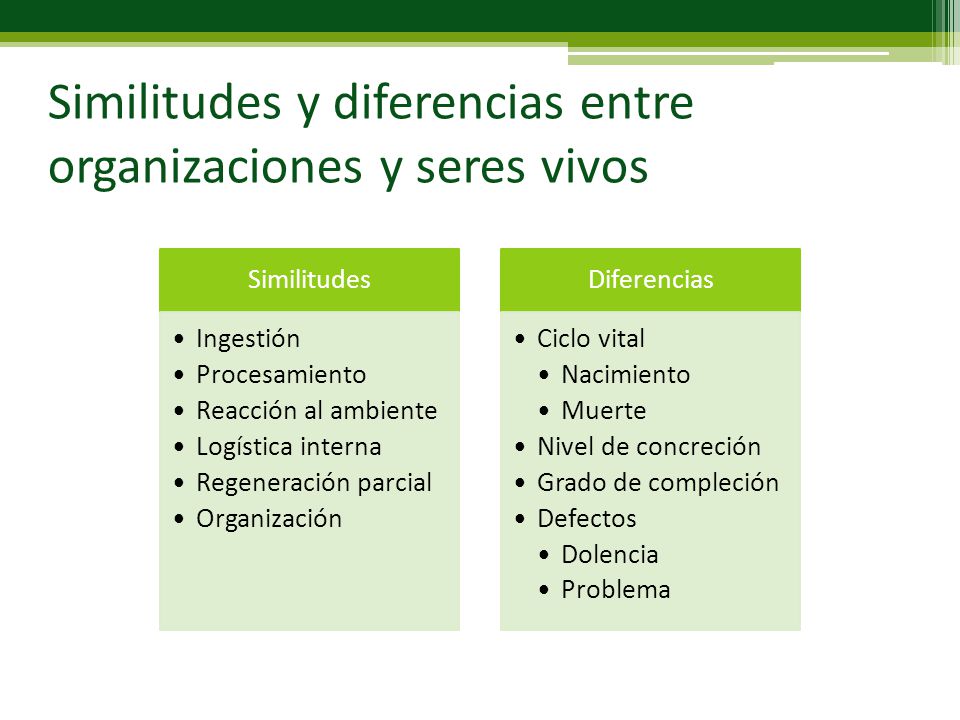 Similitudes y diferencias entre organizaciones y seres vivos
