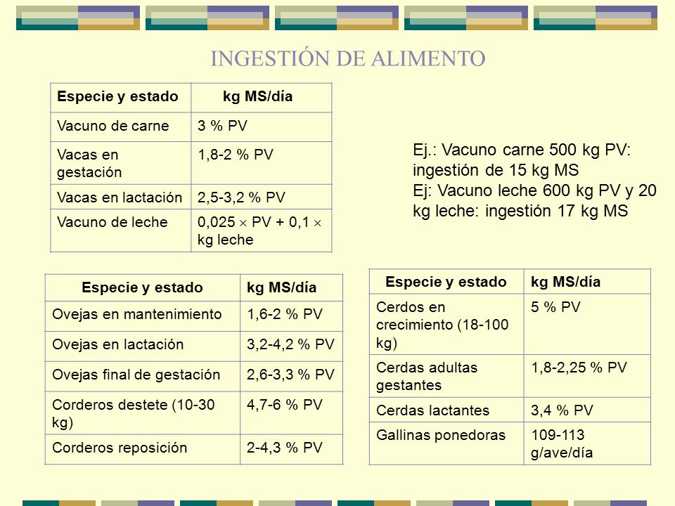 INGESTIÓN DE ALIMENTO Especie y estado. kg MS/día. Vacuno de carne. 3 % PV. Vacas en gestación.