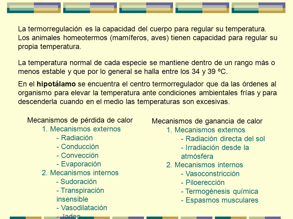 La termorregulación es la capacidad del cuerpo para regular su temperatura. Los animales homeotermos (mamíferos, aves) tienen capacidad para regular su propia temperatura.