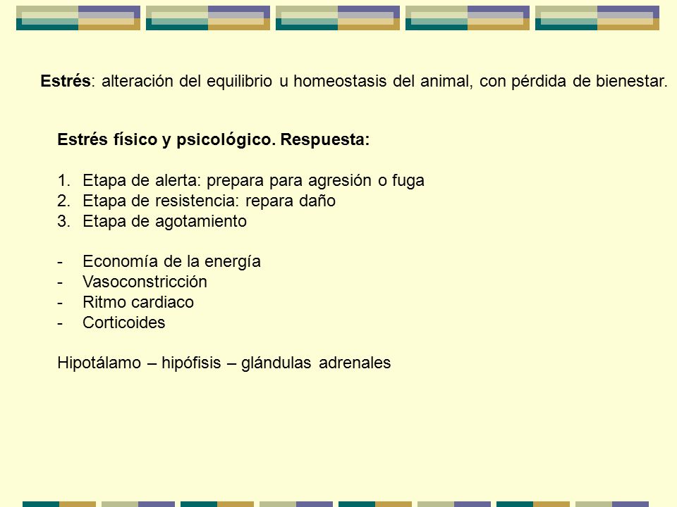 Estrés: alteración del equilibrio u homeostasis del animal, con pérdida de bienestar.