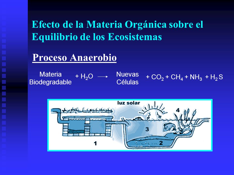 Efecto de la Materia Orgánica sobre el Equilibrio de los Ecosistemas