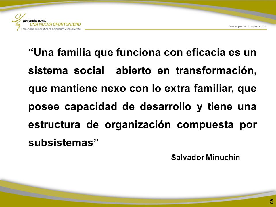 Una familia que funciona con eficacia es un sistema social abierto en transformación, que mantiene nexo con lo extra familiar, que posee capacidad de desarrollo y tiene una estructura de organización compuesta por subsistemas