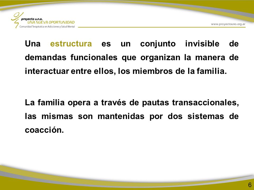 Una estructura es un conjunto invisible de demandas funcionales que organizan la manera de interactuar entre ellos, los miembros de la familia.