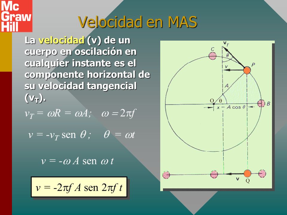 Velocidad en MAS vT = wR = wA; w = 2f v = -vT sen  ;  = wt