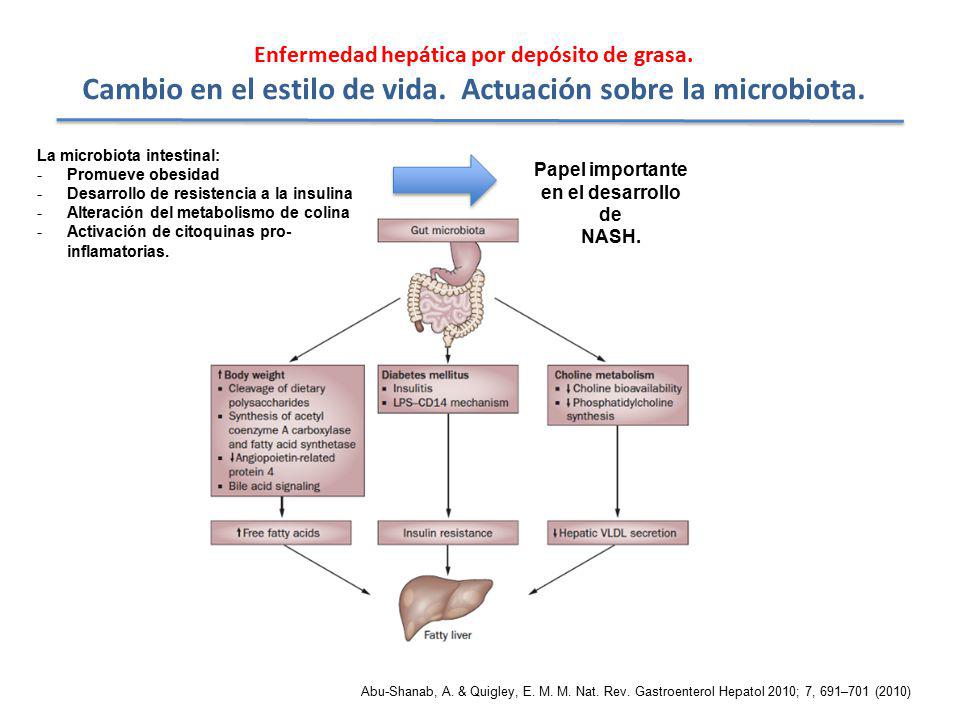 Cambio en el estilo de vida. Actuación sobre la microbiota.