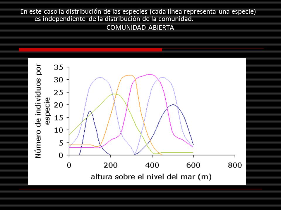 En este caso la distribución de las especies (cada línea representa una especie) es independiente de la distribución de la comunidad.