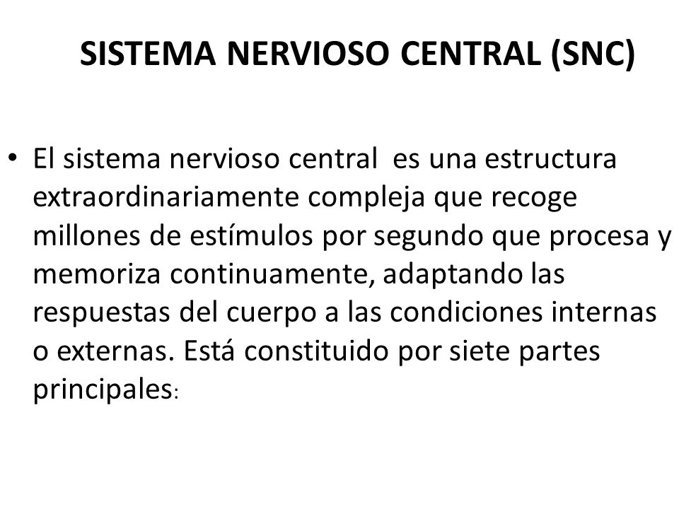 SISTEMA NERVIOSO CENTRAL (SNC)