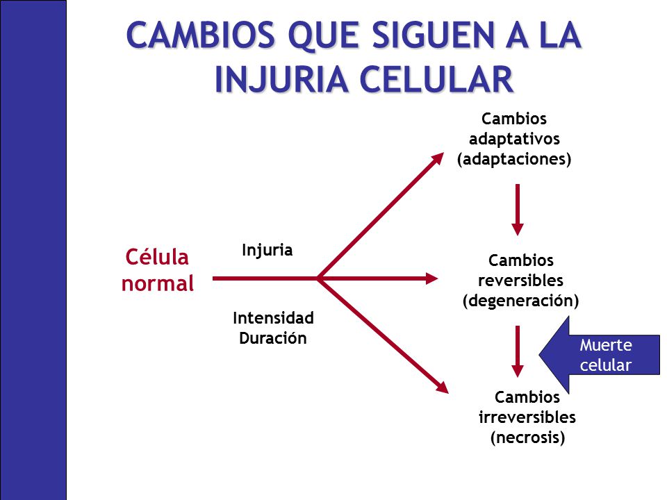 Cambios irreversibles