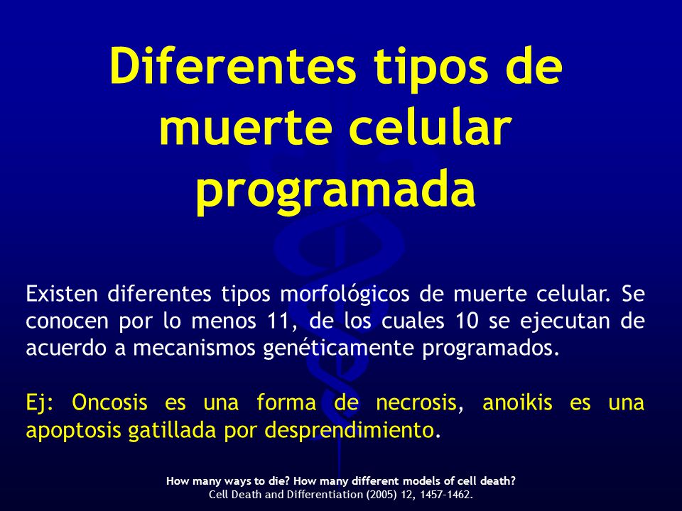 Diferentes tipos de muerte celular programada