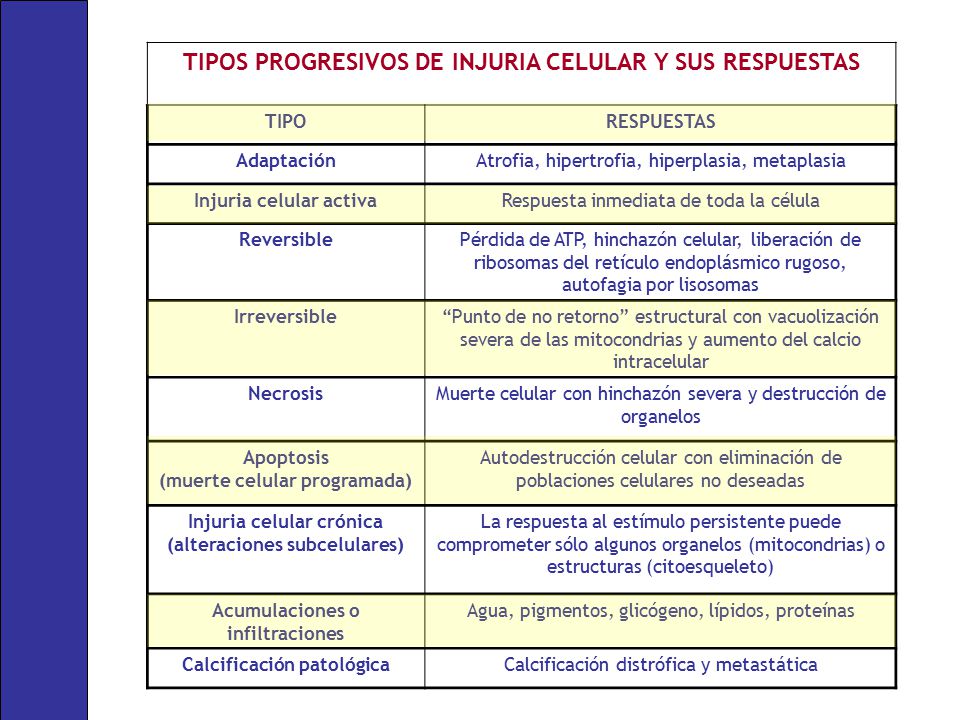 TIPOS PROGRESIVOS DE INJURIA CELULAR Y SUS RESPUESTAS
