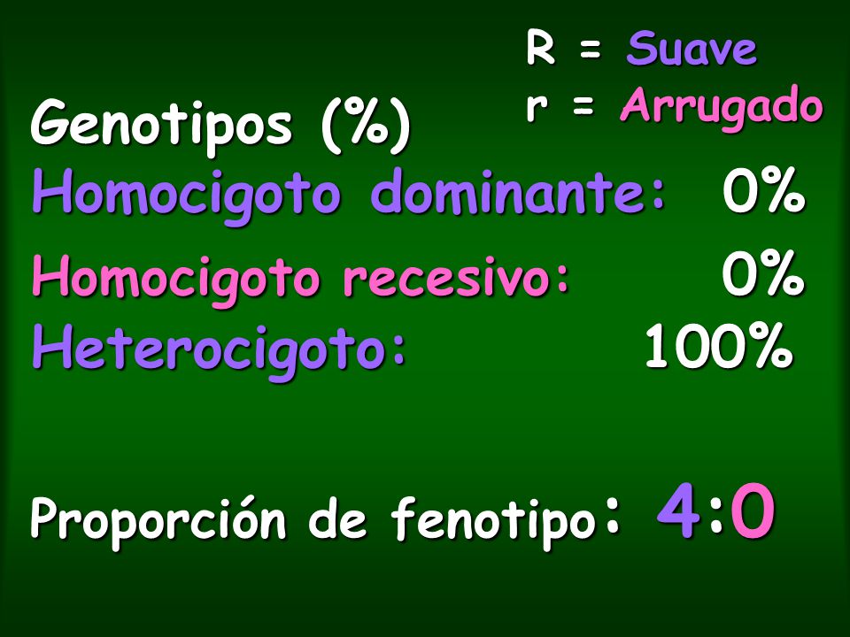 R = Suave r = Arrugado Genotipos (%) Homocigoto dominante: 0% Homocigoto recesivo: 0% Heterocigoto: 100% Proporción de fenotipo: 4:0.