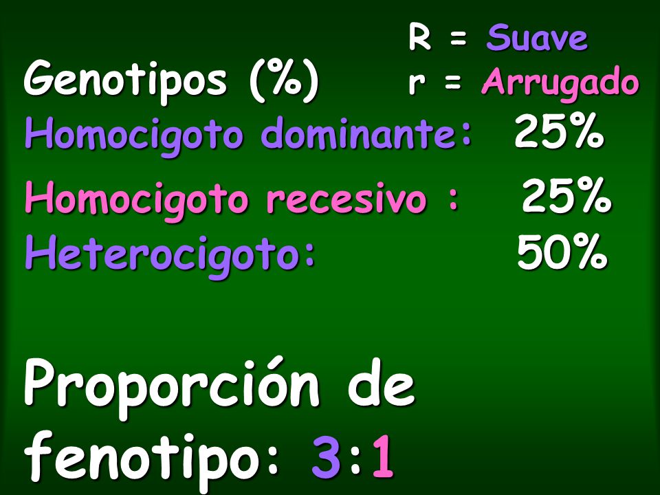 R = Suave r = Arrugado Genotipos (%) Homocigoto dominante: 25% Homocigoto recesivo : 25% Heterocigoto: 50% Proporción de fenotipo: 3:1.
