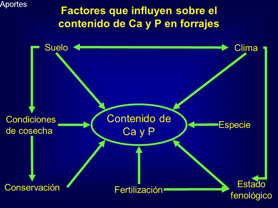Factores que influyen sobre el contenido de Ca y P en forrajes