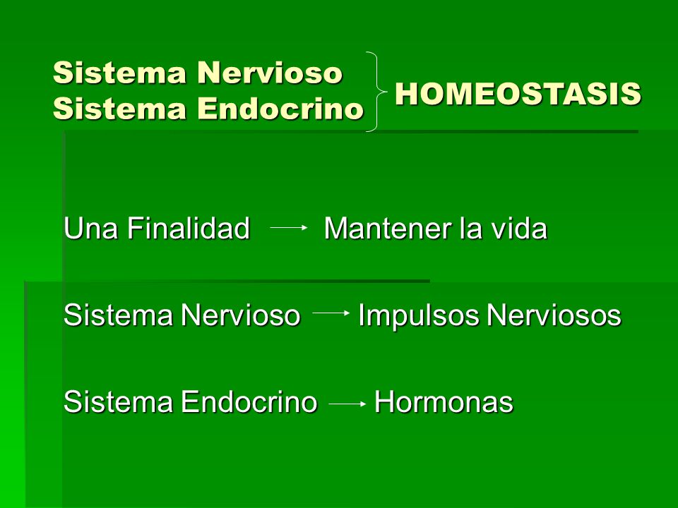 Sistema Nervioso Sistema Endocrino