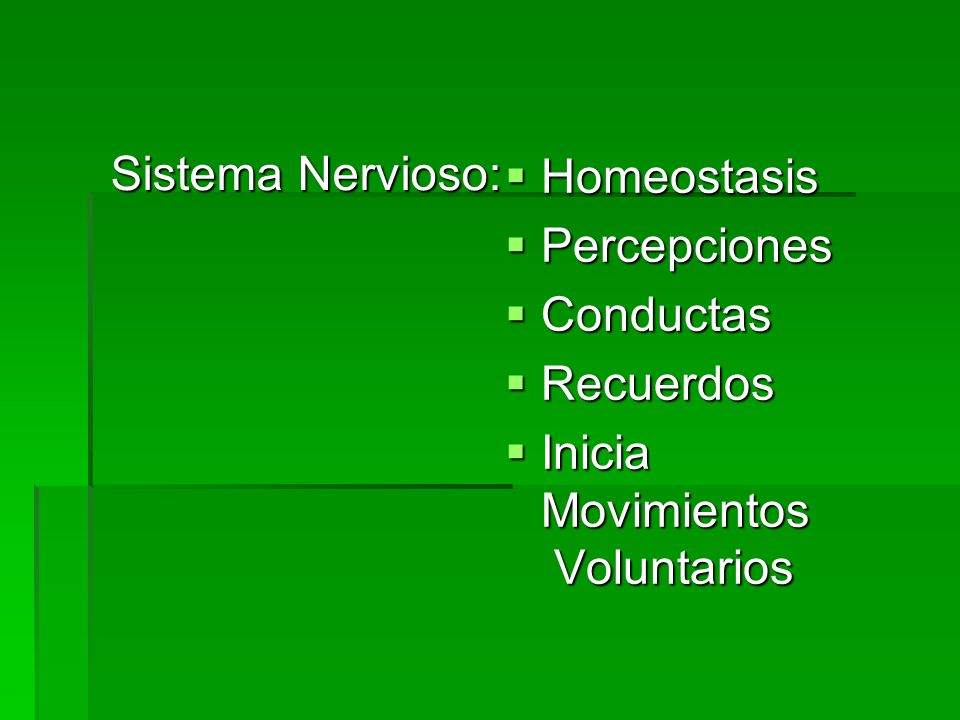 Sistema Nervioso: Homeostasis Percepciones Conductas Recuerdos Inicia Movimientos Voluntarios