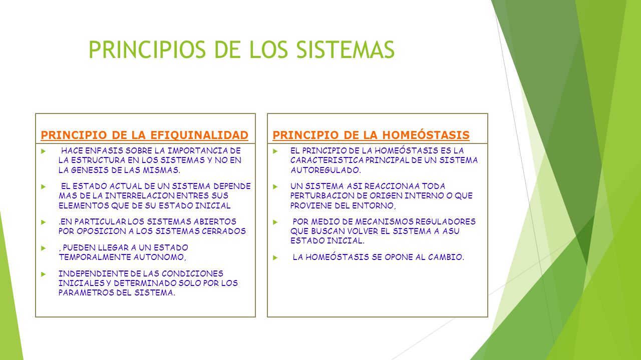 PRINCIPIOS DE LOS SISTEMAS
