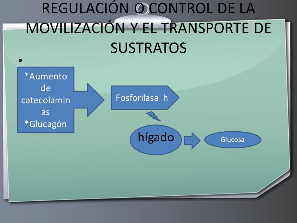 REGULACIÓN O CONTROL DE LA MOVILIZACIÓN Y EL TRANSPORTE DE SUSTRATOS