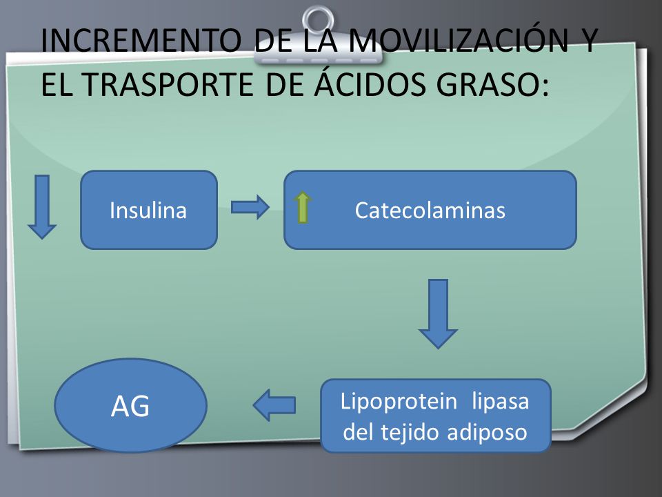 INCREMENTO DE LA MOVILIZACIÓN Y EL TRASPORTE DE ÁCIDOS GRASO: