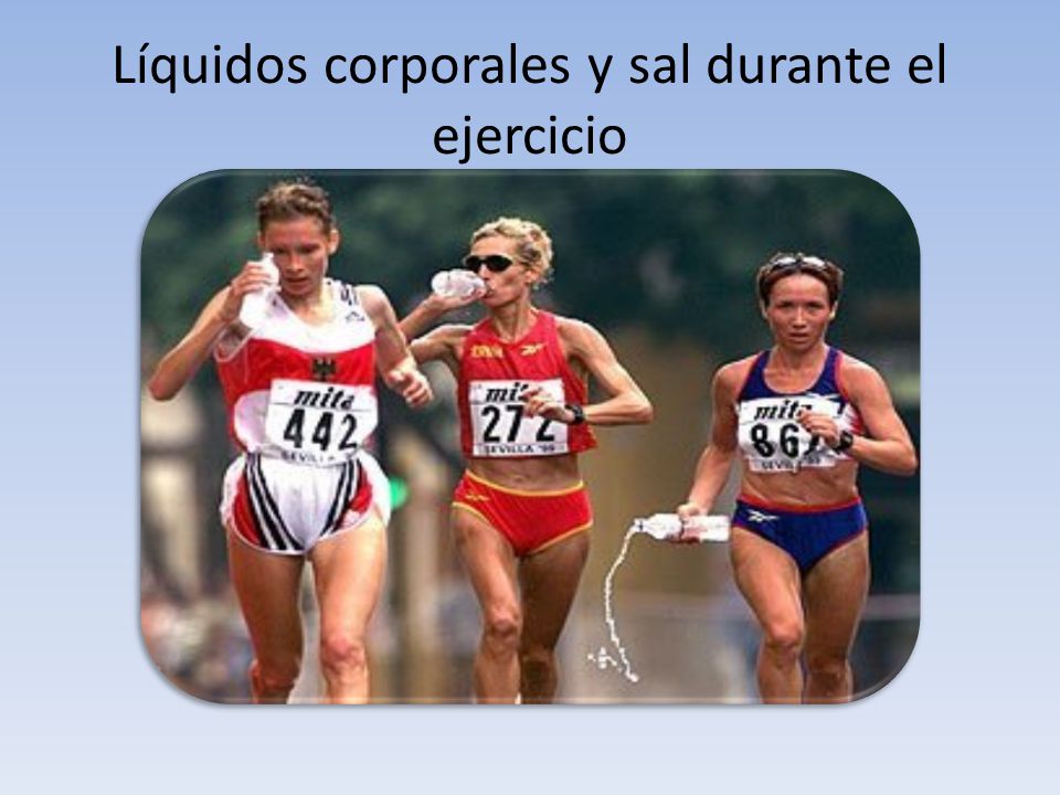 Líquidos corporales y sal durante el ejercicio