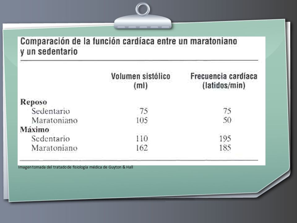 Imagen tomada del tratado de fisiología médica de Guyton & Hall