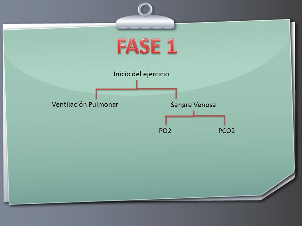 FASE 1 Inicio del ejercicio Ventilación Pulmonar Sangre Venosa PO2