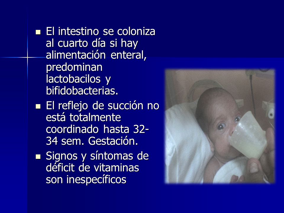 El intestino se coloniza al cuarto día si hay alimentación enteral, predominan lactobacilos y bifidobacterias.