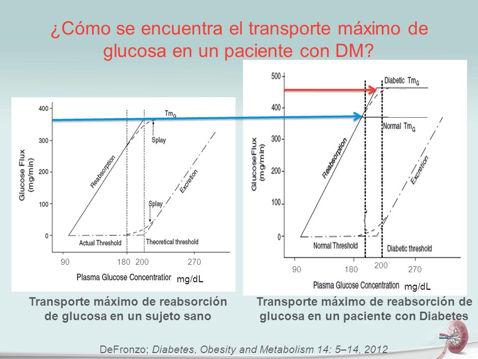 Transporte máximo de reabsorción de glucosa en un sujeto sano