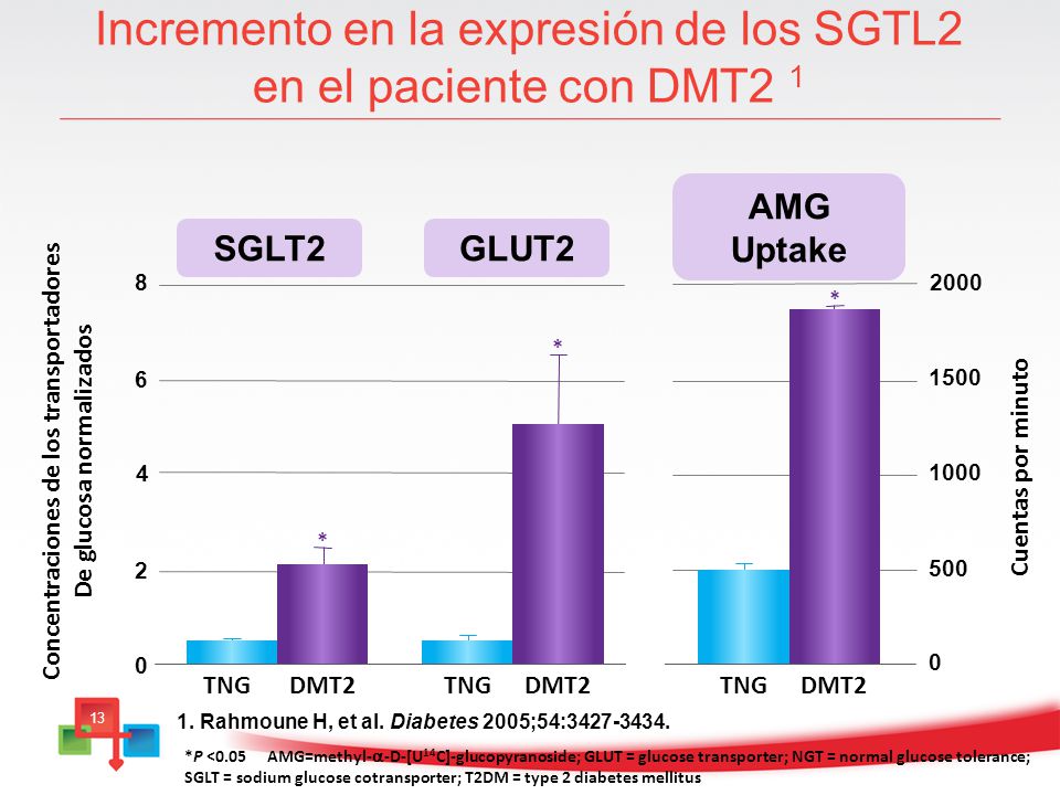 Incremento en la expresión de los SGTL2 en el paciente con DMT2 1