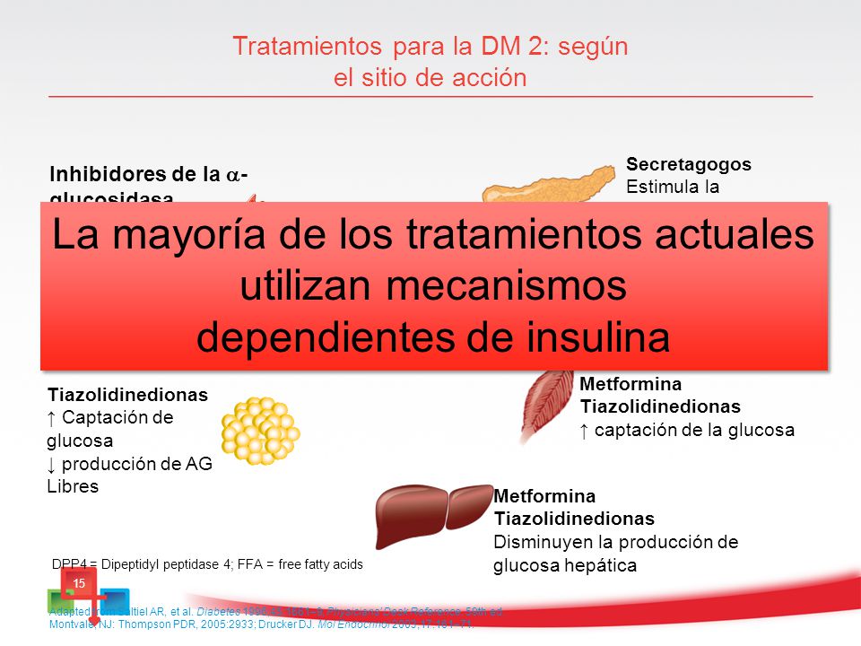 Tratamientos para la DM 2: según el sitio de acción