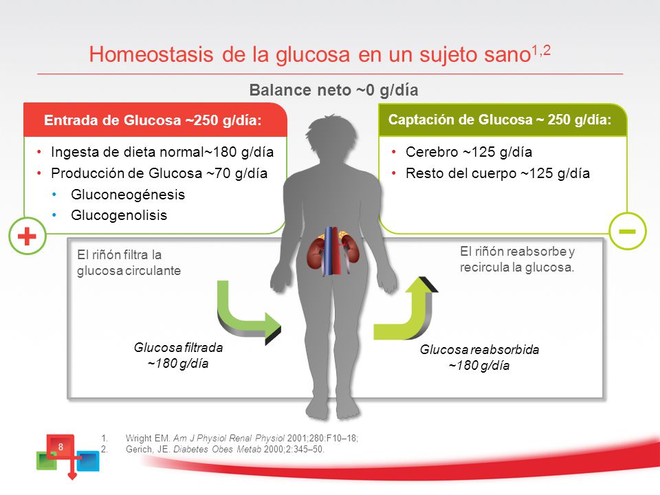 Captación de Glucosa ~ 250 g/día: Entrada de Glucosa ~250 g/día: