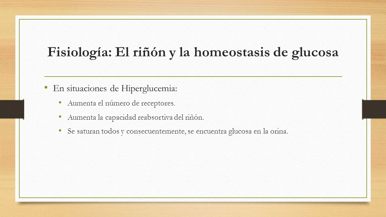 Fisiología: El riñón y la homeostasis de glucosa