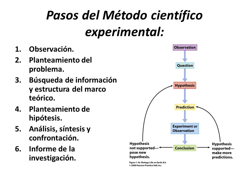 Pasos del Método científico experimental: