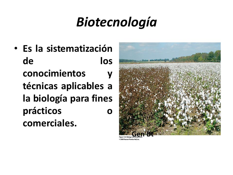 Biotecnología Es la sistematización de los conocimientos y técnicas aplicables a la biología para fines prácticos o comerciales.