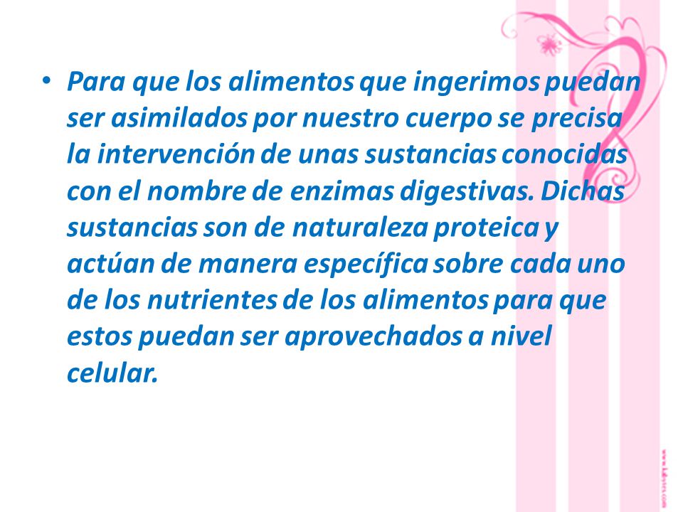 Para que los alimentos que ingerimos puedan ser asimilados por nuestro cuerpo se precisa la intervención de unas sustancias conocidas con el nombre de enzimas digestivas.