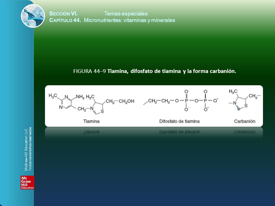 FIGURA 44–9 Tiamina, difosfato de tiamina y la forma carbanión.