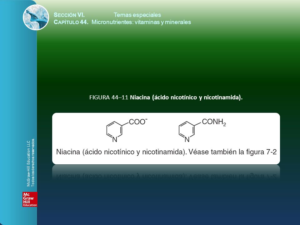 FIGURA 44–11 Niacina (ácido nicotínico y nicotinamida).