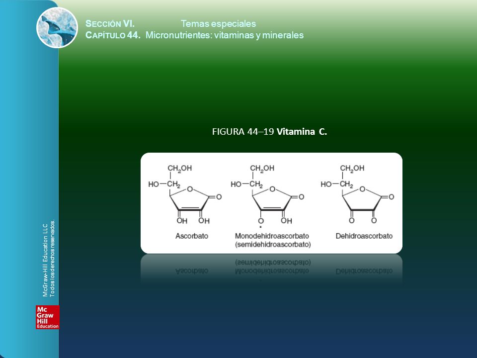 FIGURA 44–19 Vitamina C. Sección VI. Temas especiales