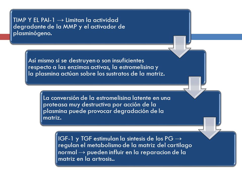 TIMP Y EL PAI-1 → Limitan la actividad degradante de la MMP y el activador de plasminógeno.