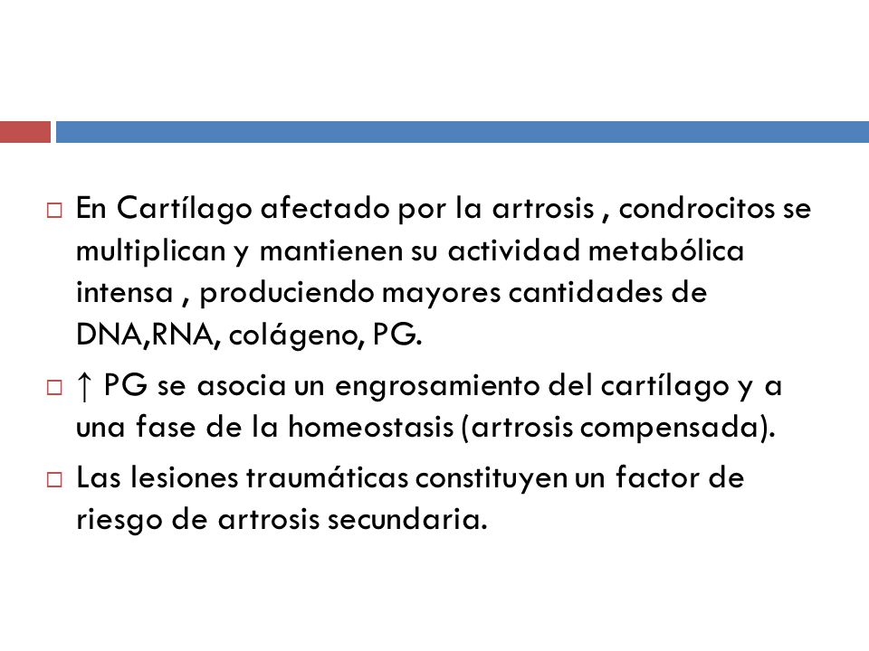 En Cartílago afectado por la artrosis , condrocitos se multiplican y mantienen su actividad metabólica intensa , produciendo mayores cantidades de DNA,RNA, colágeno, PG.