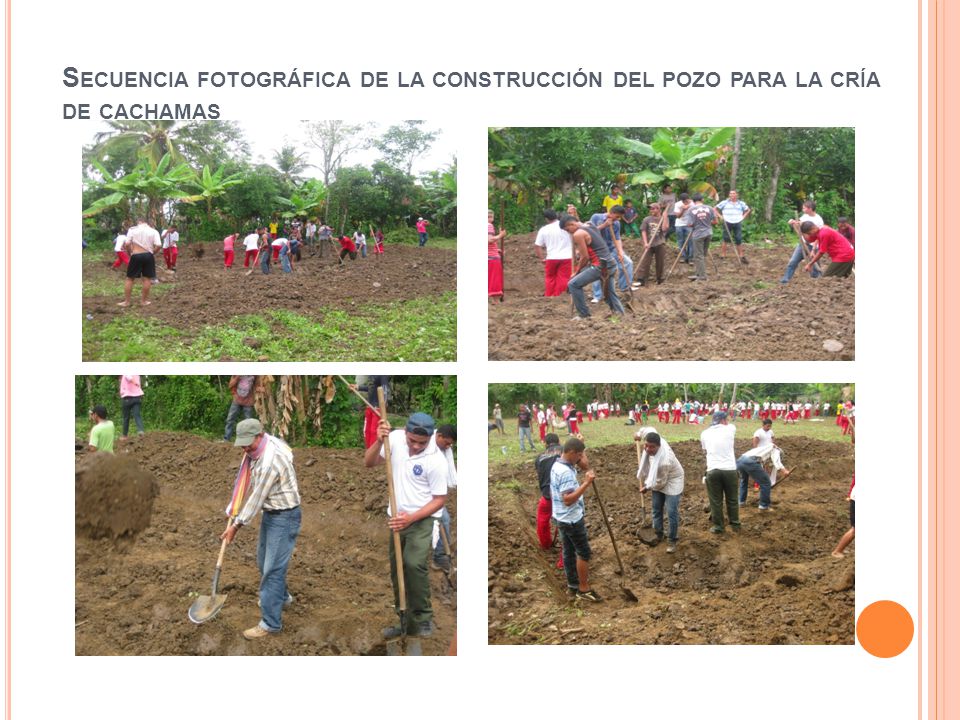 Secuencia fotográfica de la construcción del pozo para la cría de cachamas