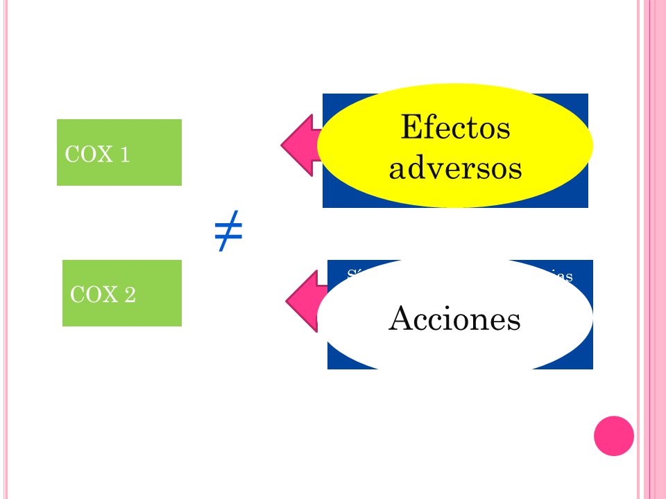 ≠ Efectos adversos Acciones COX 1 COX 2 Sintesis de PG / homeostasis