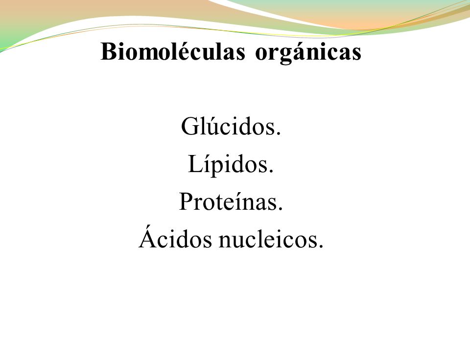 Biomoléculas orgánicas Glúcidos. Lípidos. Proteínas. Ácidos nucleicos.