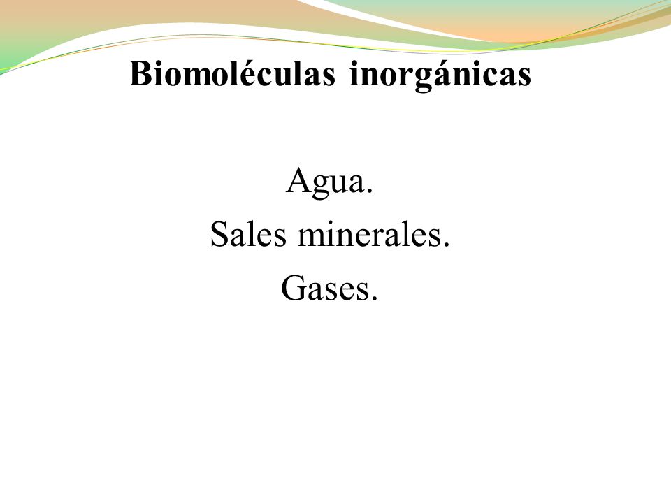 Biomoléculas inorgánicas Agua. Sales minerales. Gases.