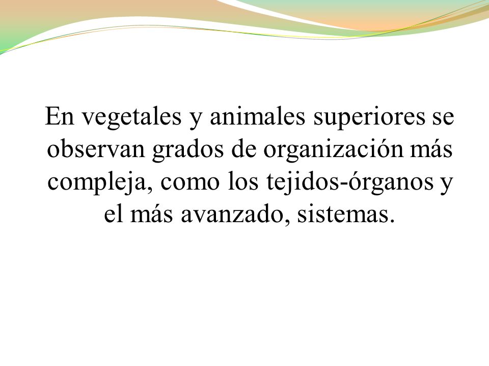 En vegetales y animales superiores se observan grados de organización más compleja, como los tejidos-órganos y el más avanzado, sistemas.