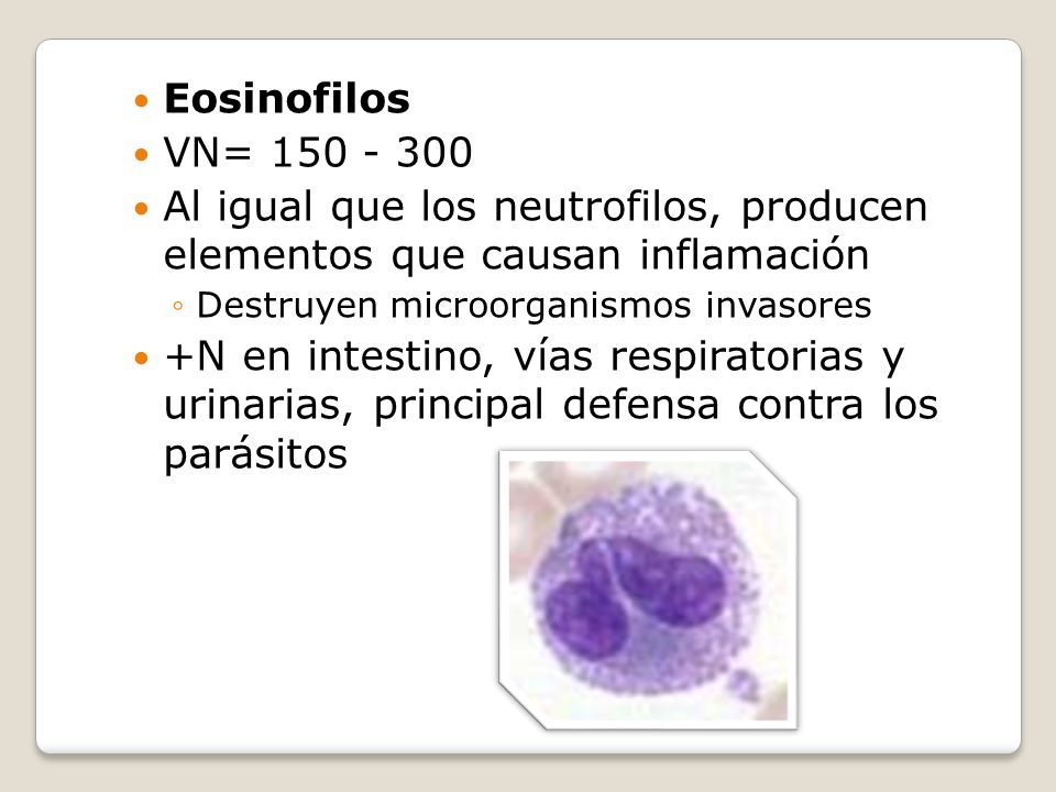 Eosinofilos VN= Al igual que los neutrofilos, producen elementos que causan inflamación.